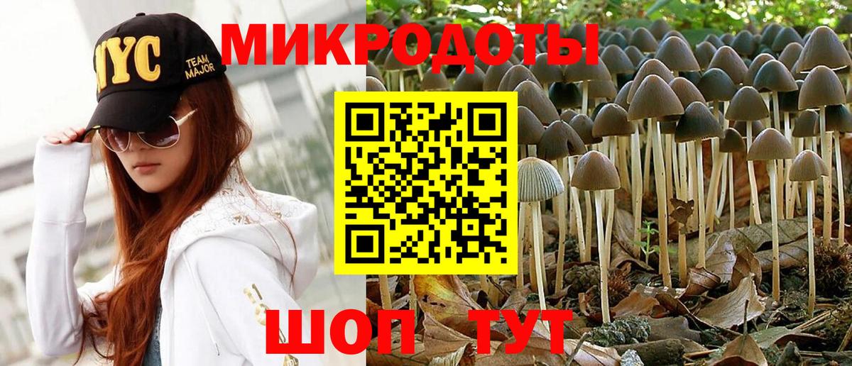 Кольчугино  Псилоцибиновые грибы прущие грибы  Галлюциногенные грибы Cubensis  Вход с VPN 